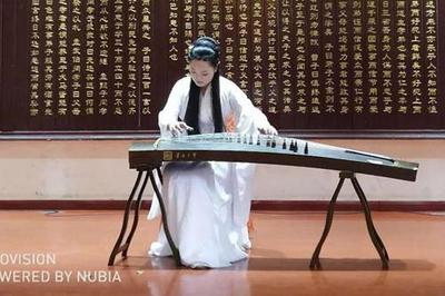 第八屆中國(國際)器樂文化藝術節南陽站演出活動圓滿舉行，助推文化藝術交流新篇章
