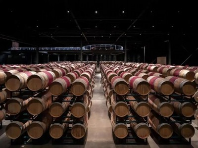 青銅峽市葡萄酒產業專家服務基層活動啟動