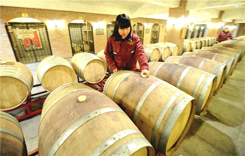 懷來 打造葡萄酒精品聚集區