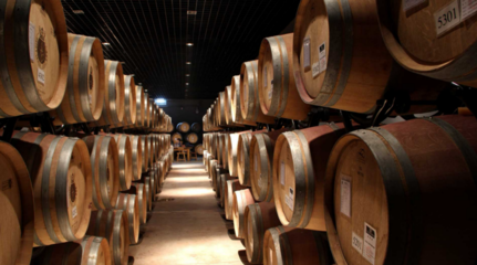 鍛造賀蘭山下&ldquo;紫色&rdquo;長廊 永寧縣精心釀造&ldquo;醉美&rdquo;產(chǎn)業(yè)