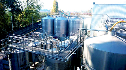 智利進(jìn)口原酒,智利紅酒OEM,智利紅酒代加工