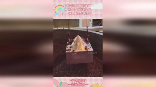 外國的紅酒制作廠,不料竟是這樣操作,第一眼的迷惑性太強(qiáng)