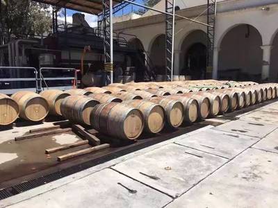 去阿根廷吃羊駝是一種什么樣神奇的體驗(yàn)?